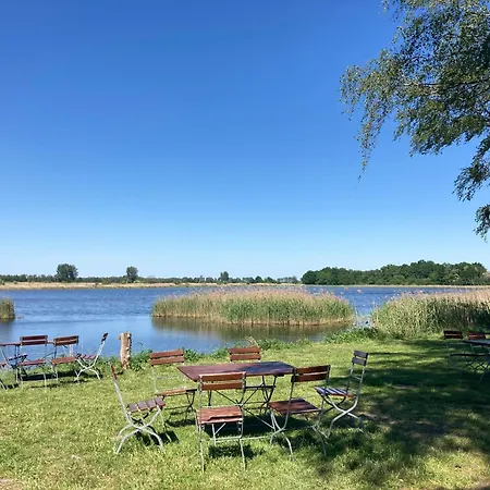 דירה - Der Schwarzstorch *