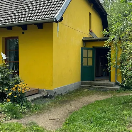 - Der Schwarzstorch Fehrbellin