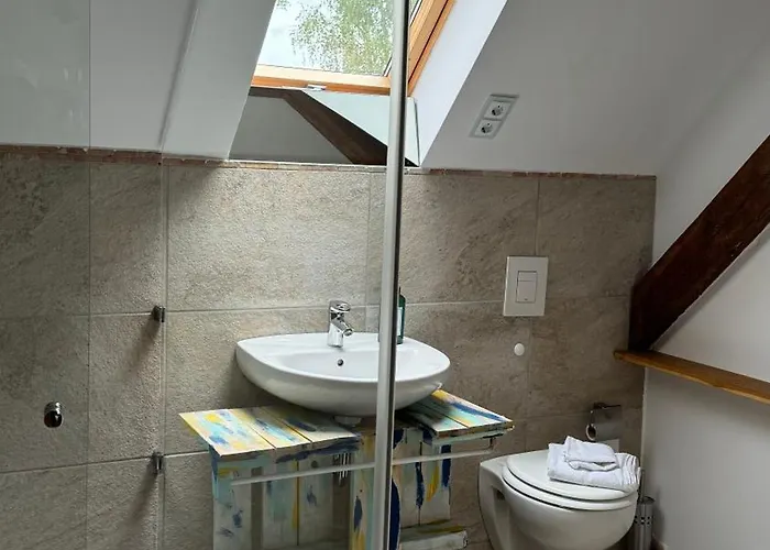 - Der Schwarzstorch Fehrbellin