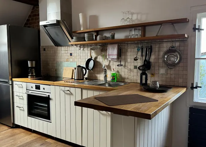 - Der Schwarzstorch *