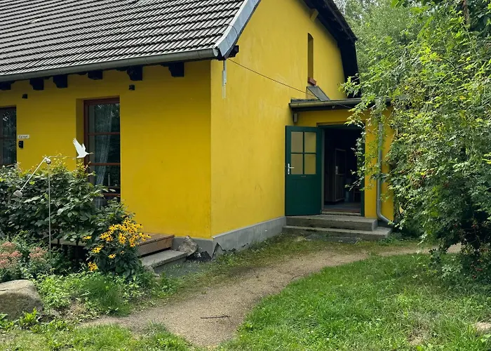 - Der Schwarzstorch Fehrbellin